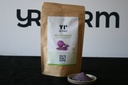 Red Cabbage Powder, 200g stand-up bag