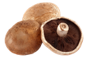 Portobello, Large