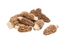 Fresh Morels, Conica