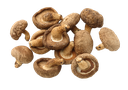 Shiitake Gr. B