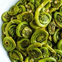 Wild Fiddlehead Ferns [West Coast]