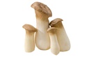 Trumpet / King Oyster - China