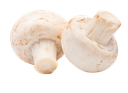 Champignon, Large