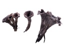 Dried Black Trumpets