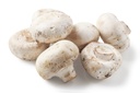 Champignon, Medium