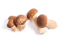 Frozen Porcini, Grade 1, Bouchon