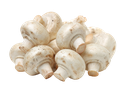 Champignon, Small