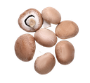 Cremini