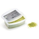 Lime Zest - Frozen