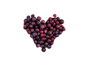 Coastal Huckleberries - Frozen